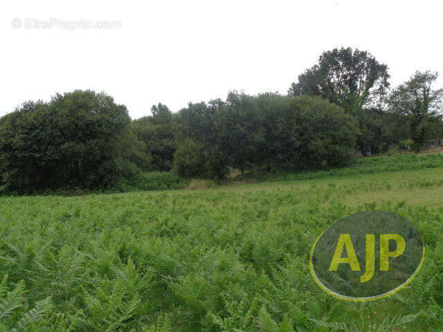 Terrain à PLUMELEC