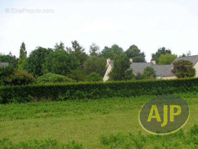 Terrain à PLUMELEC