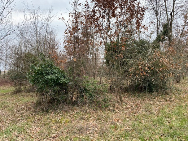 Terrain à VILLENEUVE-SUR-LOT