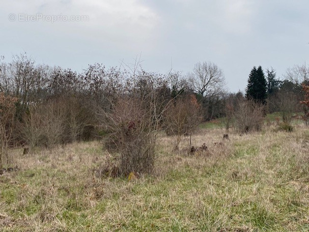 Terrain à VILLENEUVE-SUR-LOT