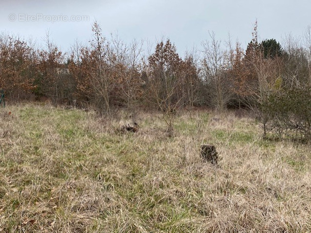 Terrain à VILLENEUVE-SUR-LOT