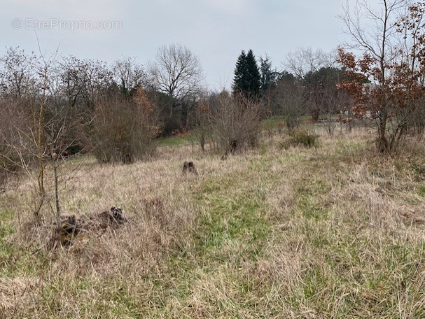 Terrain à VILLENEUVE-SUR-LOT