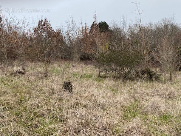 Terrain à VILLENEUVE-SUR-LOT