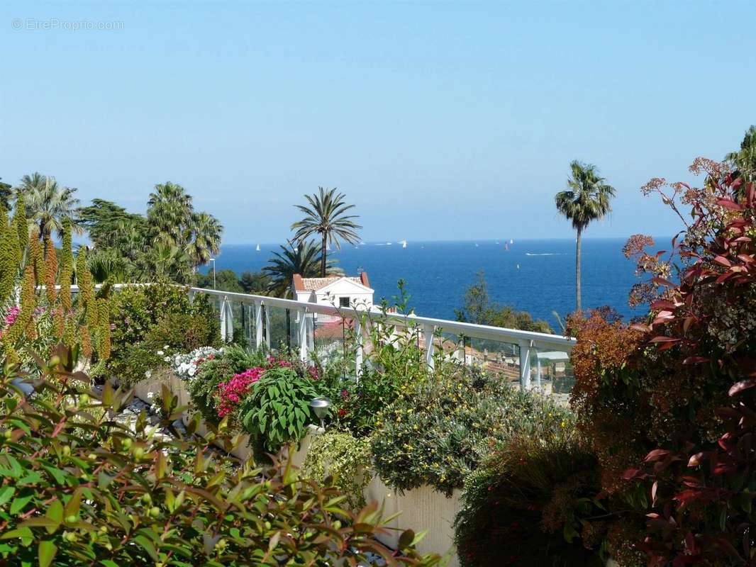 Maison à CANNES