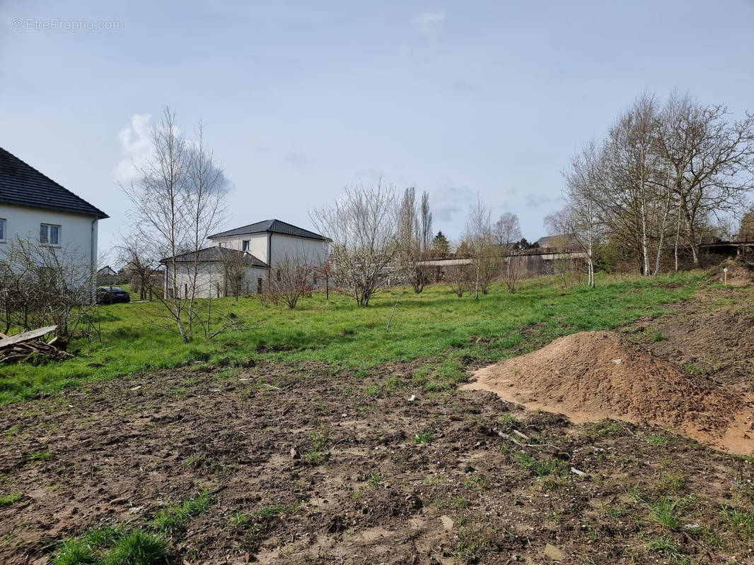 Terrain à CREUTZWALD