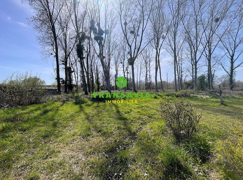 Terrain à BAZAS