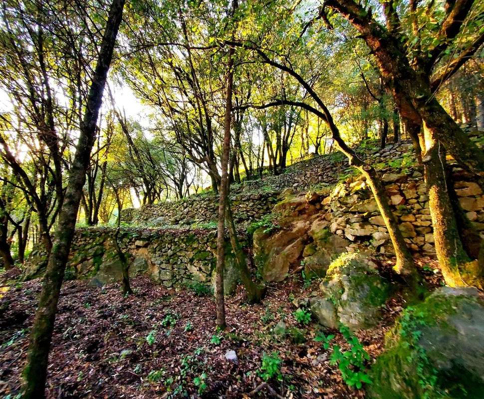 Terrain à LE VIGAN