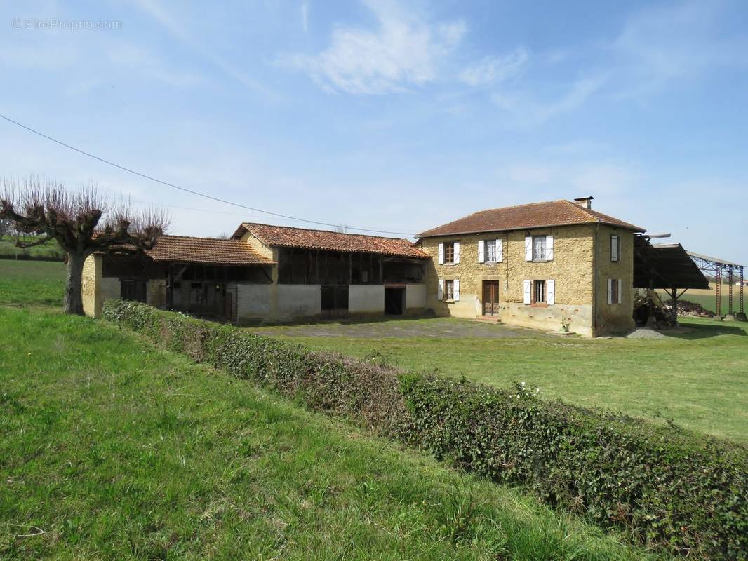 Maison à MASSEUBE