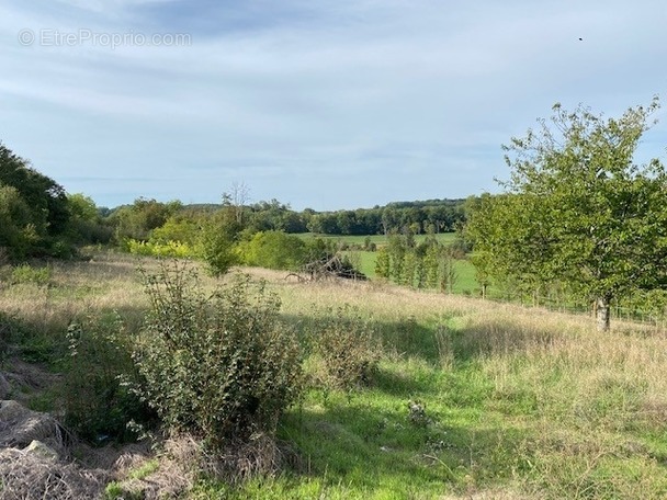 Terrain à NOIDANS-LES-VESOUL