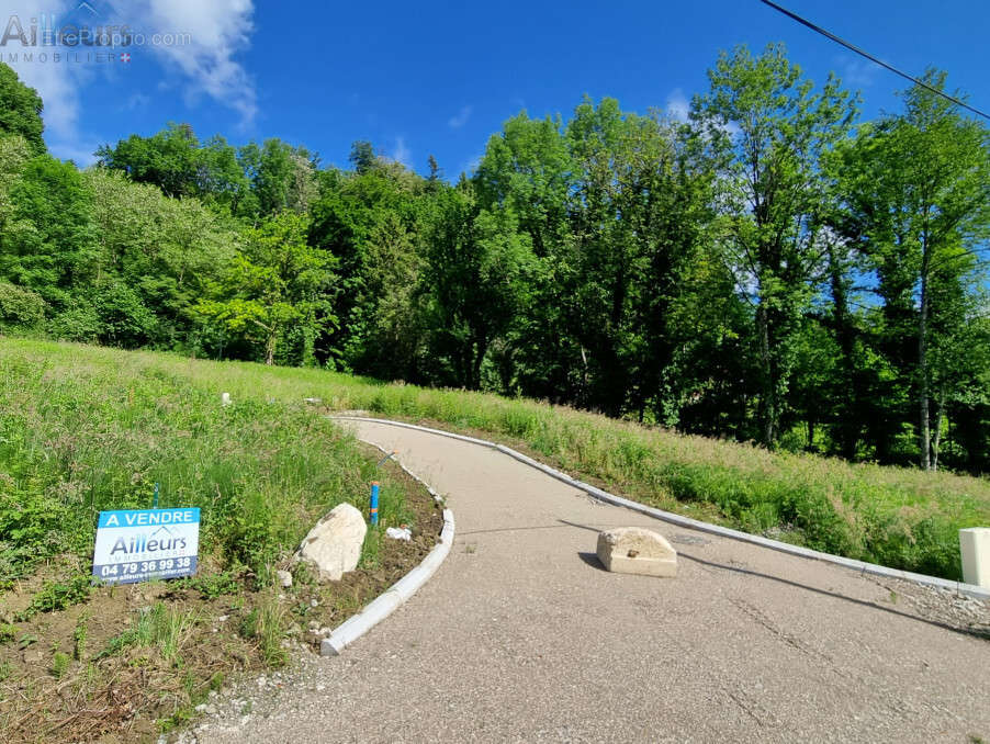 Terrain à VIMINES