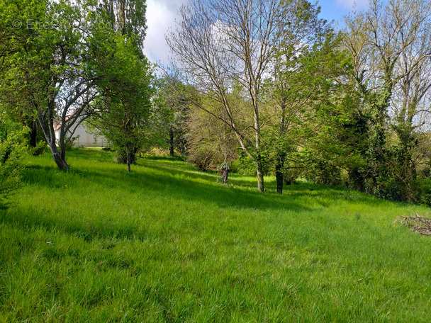 Terrain à CREPY-EN-VALOIS