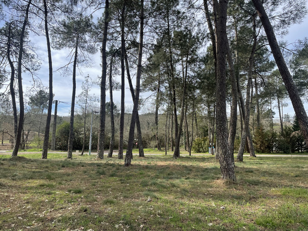 Terrain à CASTELJALOUX