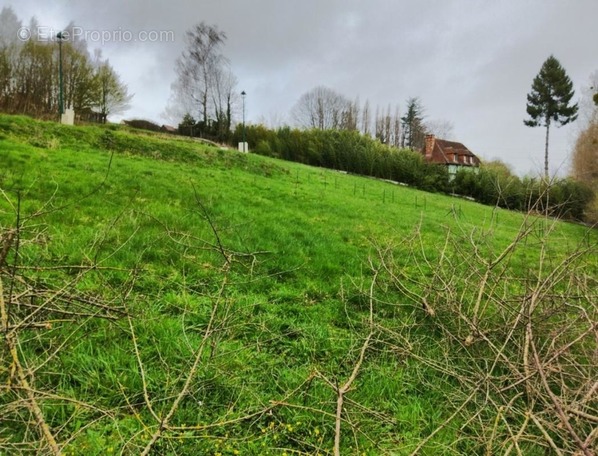 Terrain à SAINT-DESIR