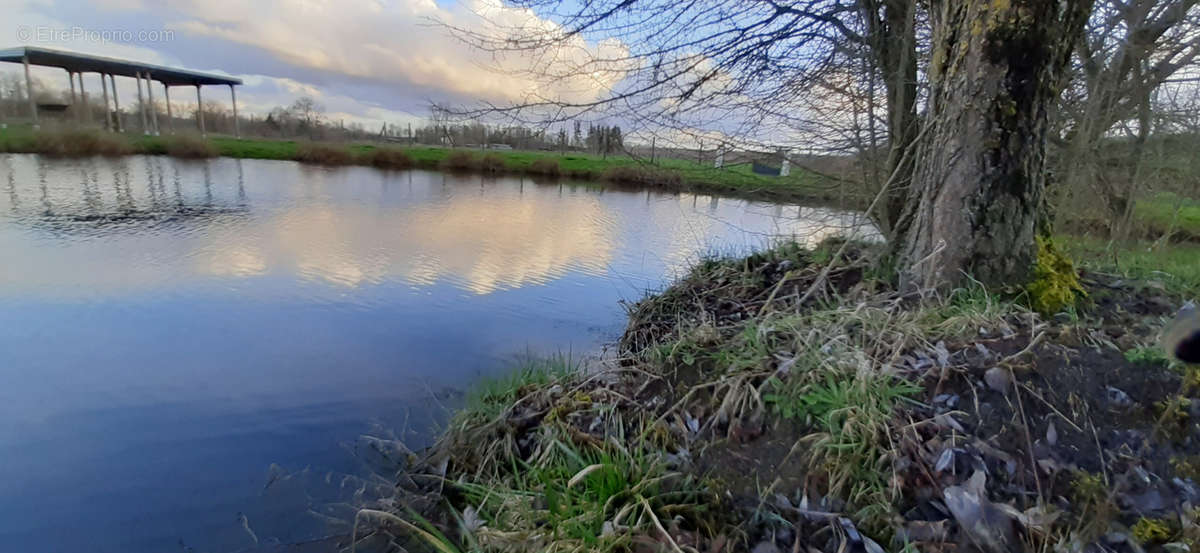 Terrain à VAUCOULEURS