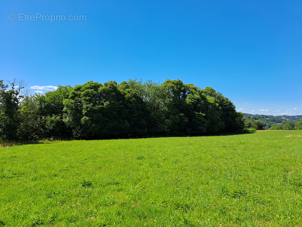 Terrain à SAINT-HILAIRE-PEYROUX