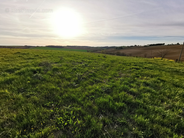 Terrain à L&#039;ISLE-JOURDAIN