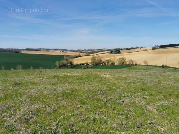 Terrain à L&#039;ISLE-JOURDAIN