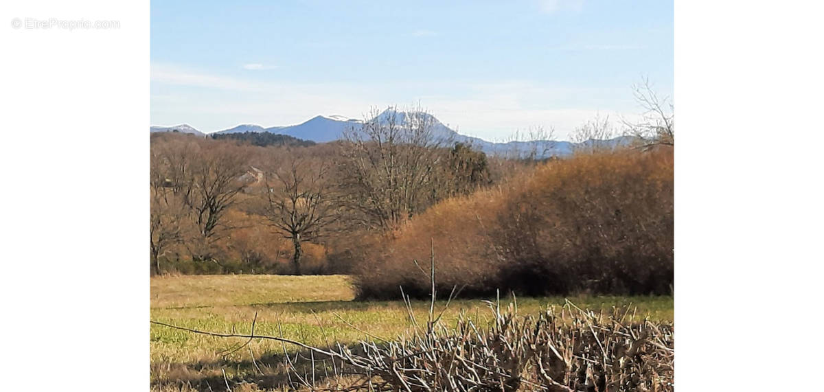 Terrain à CHAPDES-BEAUFORT