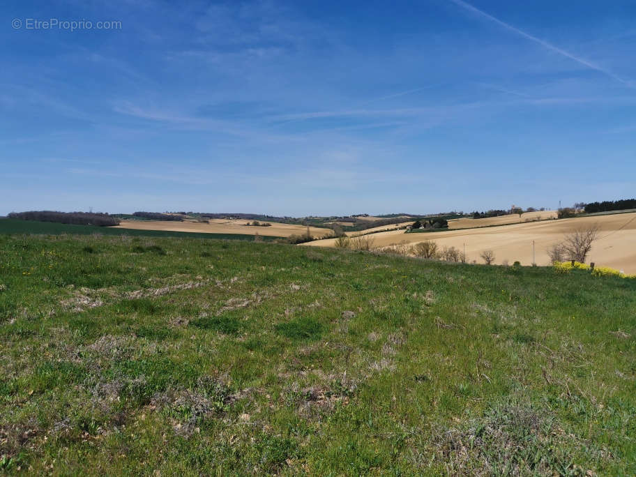 Terrain à L&#039;ISLE-JOURDAIN