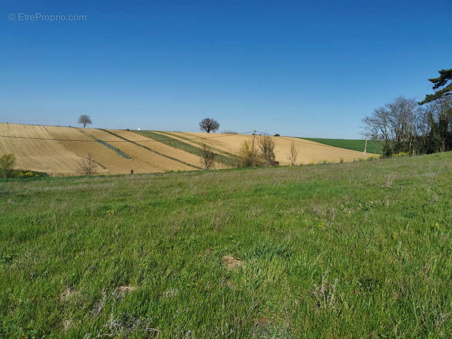 Terrain à L&#039;ISLE-JOURDAIN