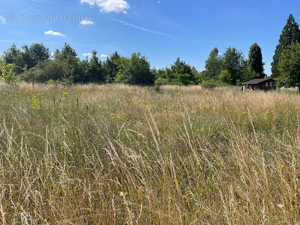 Terrain à COULOMBS