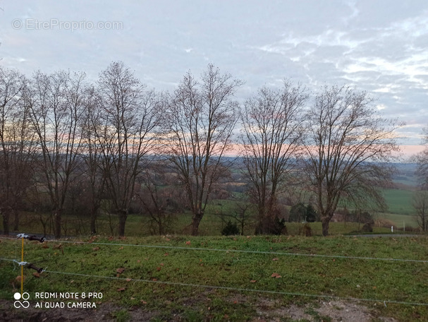 Terrain à PUYLAURENS