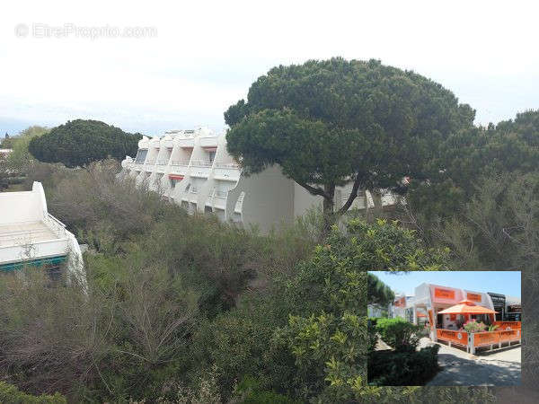 ENVIRONNEMENT - Appartement à LA GRANDE-MOTTE