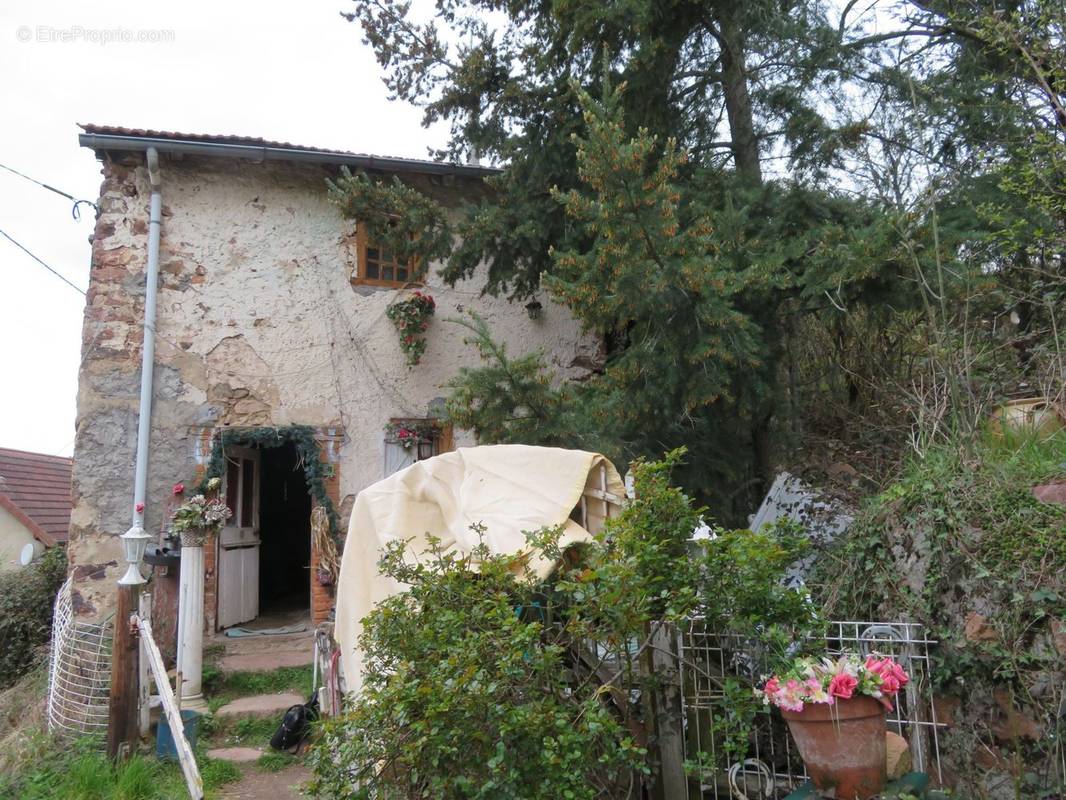 Maison à ARFEUILLES