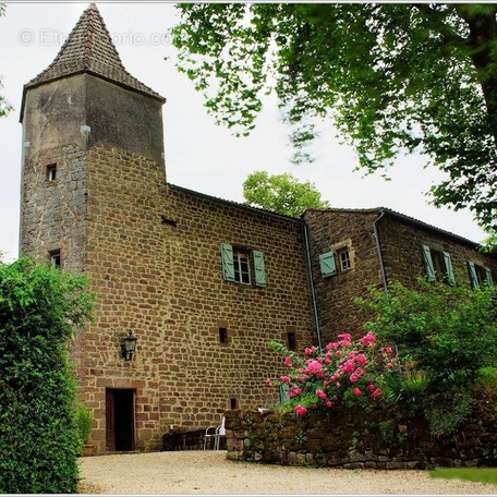 Autre à CORDES-SUR-CIEL