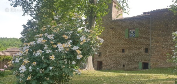 Autre à CORDES-SUR-CIEL