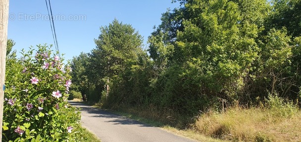 Terrain à CORDES-SUR-CIEL