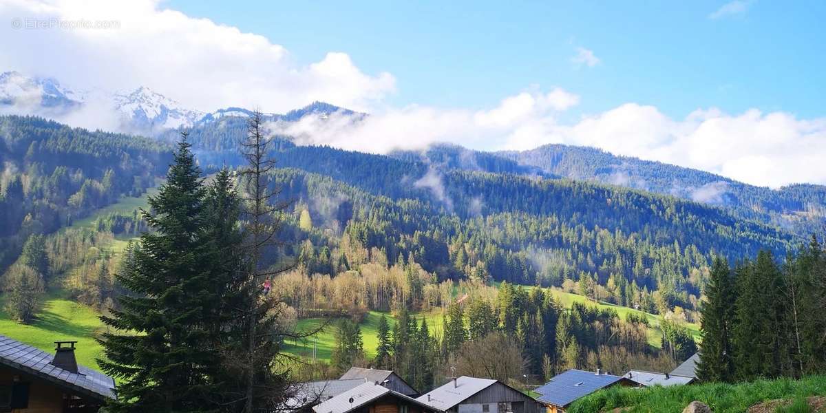 Terrain à ABONDANCE