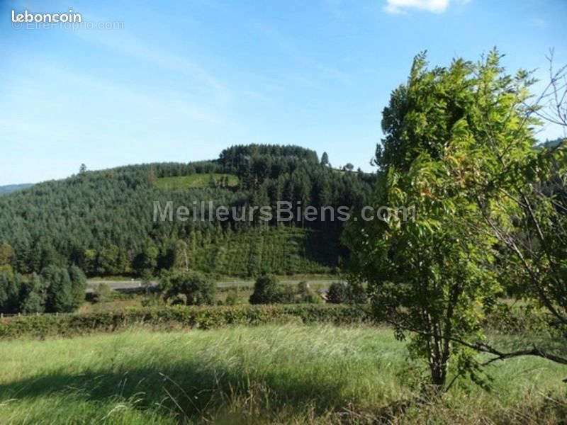 Terrain à LAMURE-SUR-AZERGUES