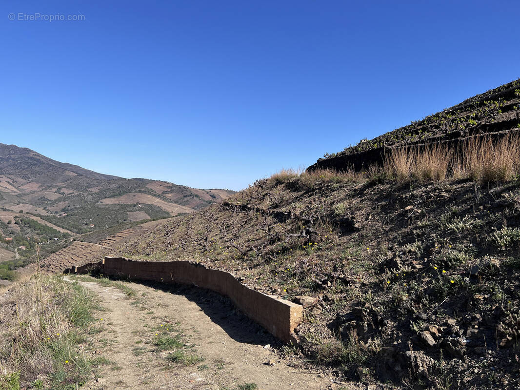 Terrain à BANYULS-SUR-MER