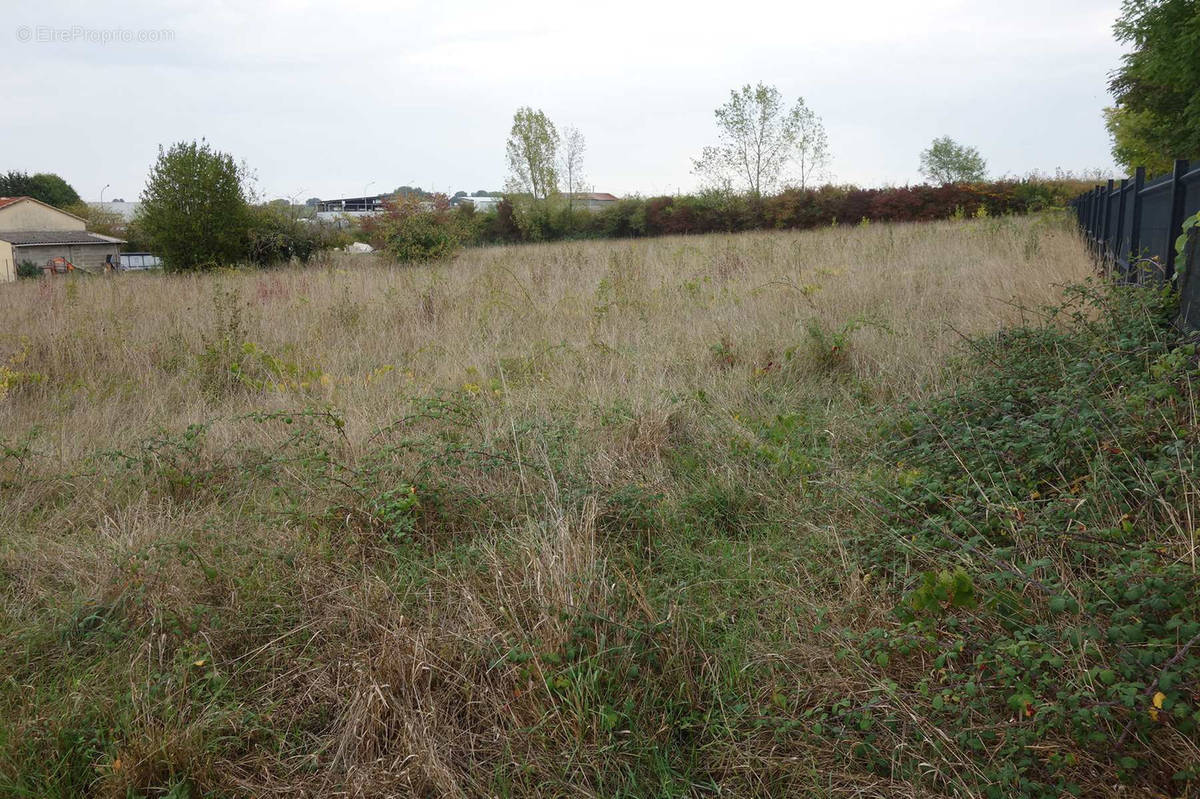 Terrain à BLAYE