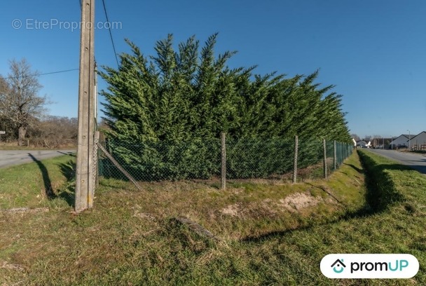 Terrain à VIERZON