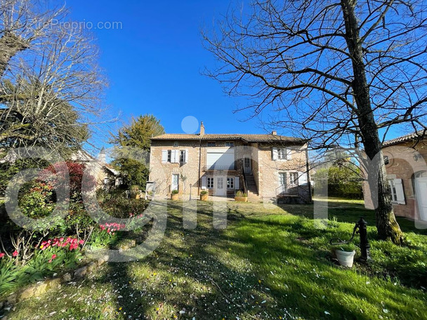 Maison à TOURNUS