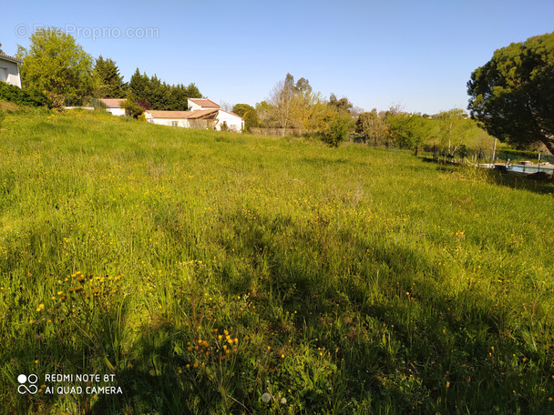 Terrain à LEZAT-SUR-LEZE