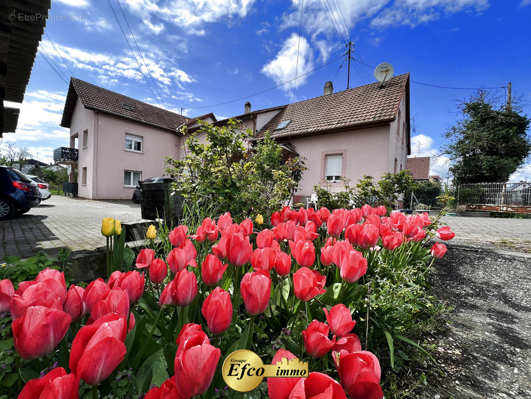 Maison à SAINT-LOUIS