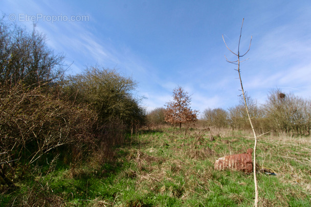 Terrain à SAINT-FRANCOIS-LACROIX