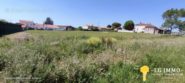 Terrain à SAINT-FORT-SUR-GIRONDE