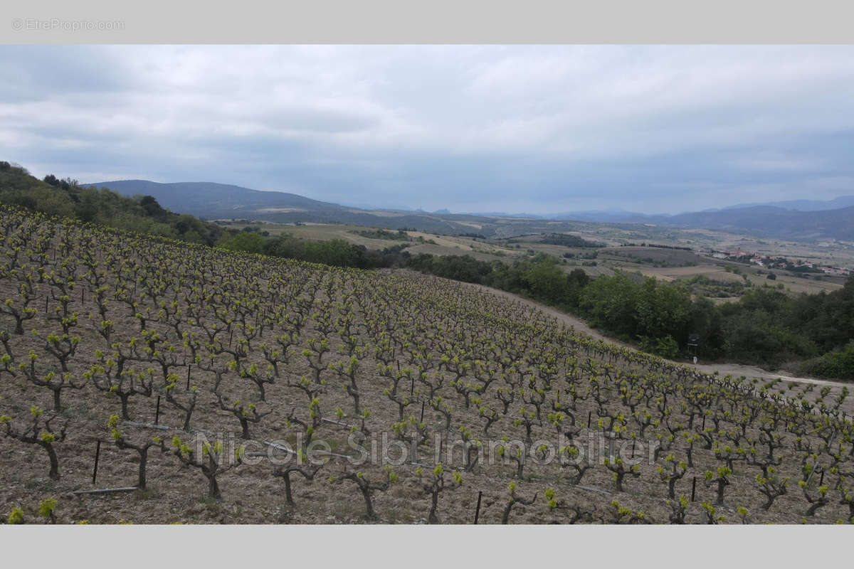 Terrain à MONTNER