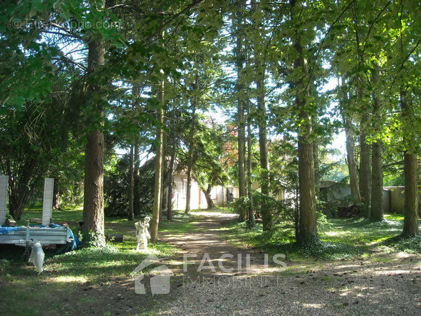 Maison à LA GUERCHE-SUR-L&#039;AUBOIS