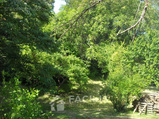 Maison à LA GUERCHE-SUR-L&#039;AUBOIS