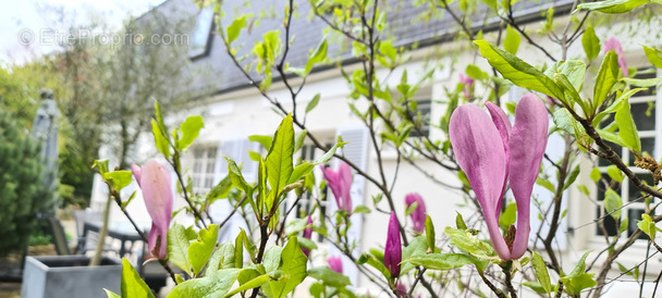 Maison à CHARTRES