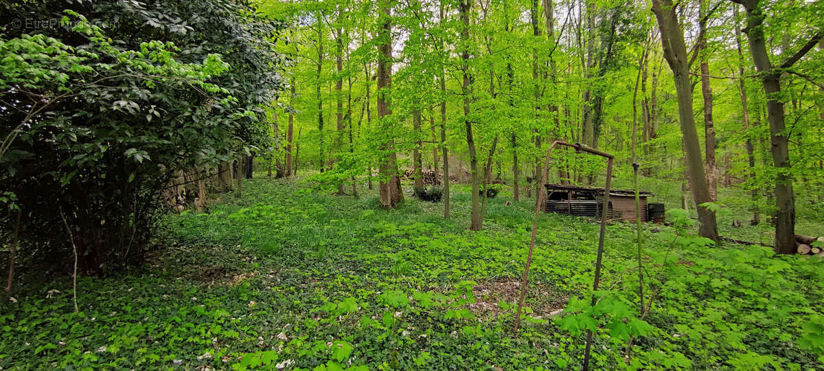 Terrain à BELLE-EGLISE