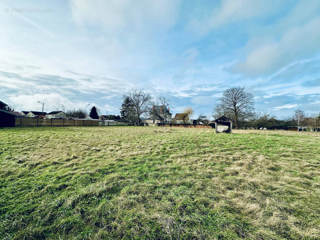 Terrain à LOIVRE