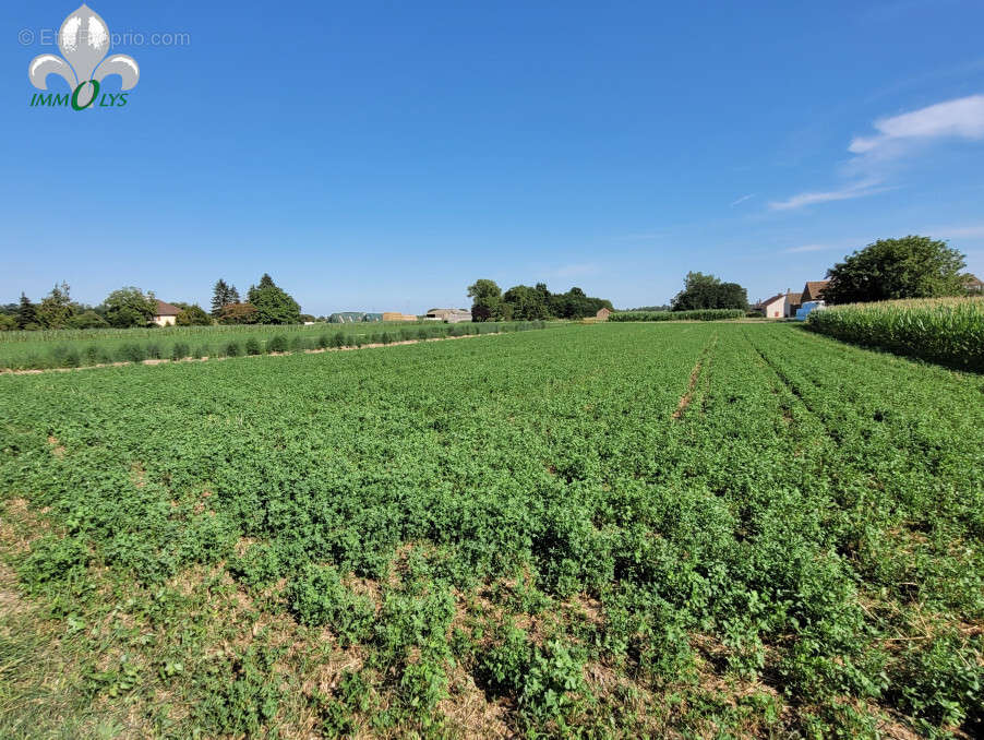 Terrain à CHARNAY-LES-CHALON