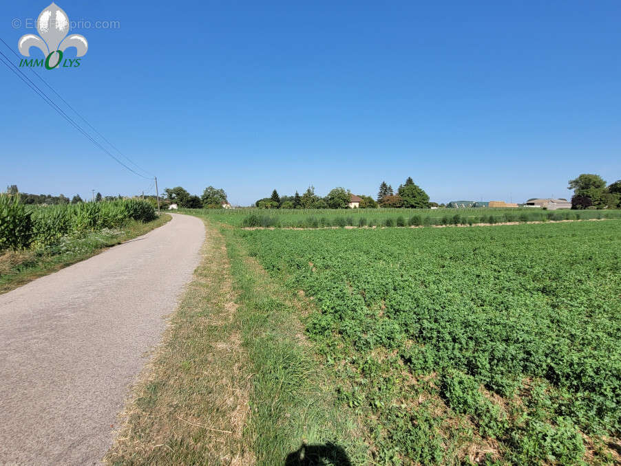 Terrain à CHARNAY-LES-CHALON