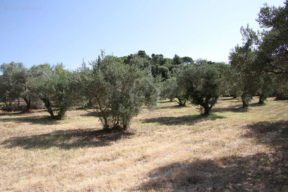 Terrain à AUPS